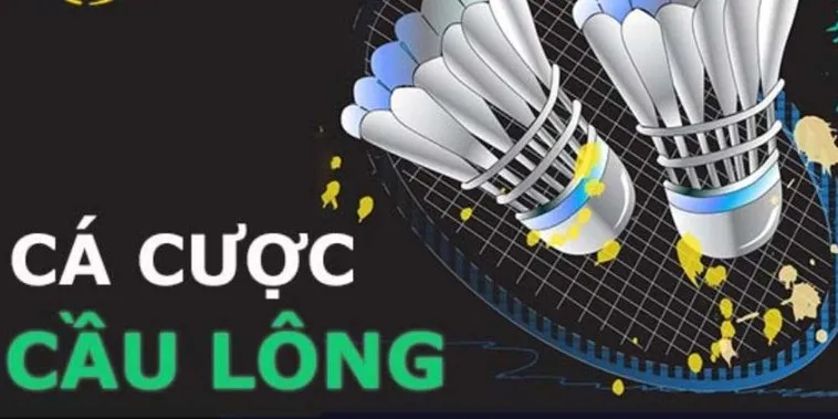 Cách Chơi Cá Cược Cầu Lông Tại 8XX Dễ Thắng Nhất