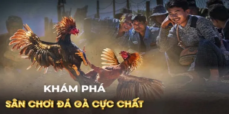Cách Chơi Đá Gà GA28 Tại 8XX Đỉnh Cao Dễ Thắng Lớn