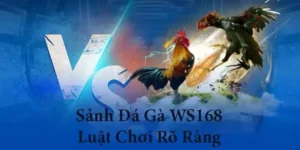 Cách Chơi Đá Gà WS168 Tại 8XX Kịch Tính Dễ Thắng Lớn