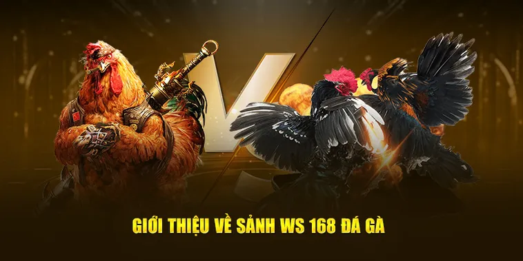 Cách Chơi Đá Gà WS168 Tại 8XX Kịch Tính Dễ Thắng Lớn