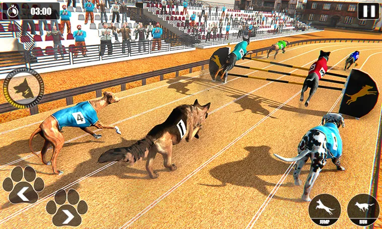 Hướng Dẫn Cách Chơi Game Nhanh Đua Chó Tại 8XX Dễ Thắng Nhất