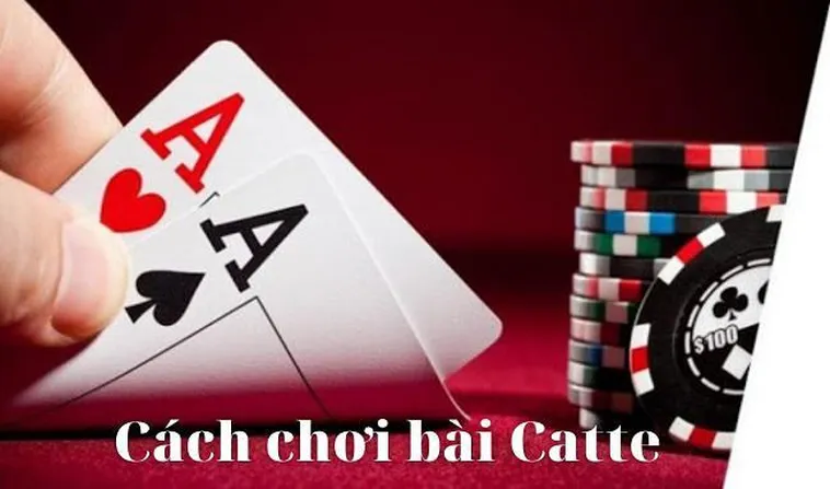 Bí Kíp Chơi Sắc Tê 8XX Từ A Đến Z Giúp Bạn Luôn Thắng Lớn
